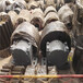钢件材质外径400的小型回转炉托轮烘干机轮带生产厂家