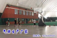 本公司生产安装气膜，对外加工膜材料，出租出售合理价格欢迎前来询问。图片2