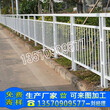 广东佛山道路护栏厂家惠州交通市政京式栏杆隔离防撞栏图纸图片