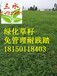 漳州华安县护坡草籽，耐干旱，耐贫瘠