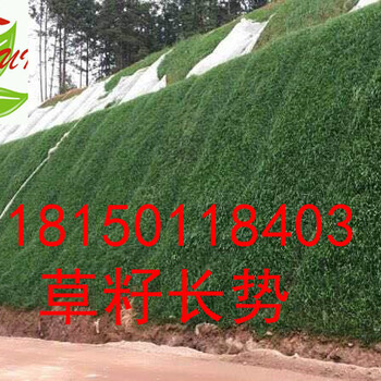 提供廣西玉林高速公路邊坡綠化護坡措施
