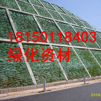 云南玉溪江川县边坡常用草种四季青固土护坡