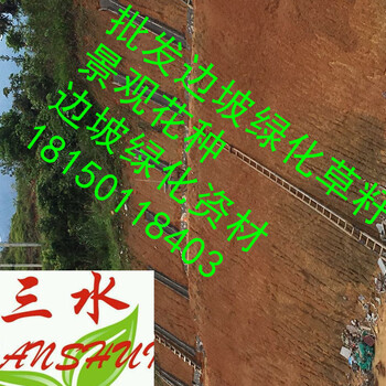 廣西高速公路邊坡綠化三維網(wǎng)噴播植草造價多少錢