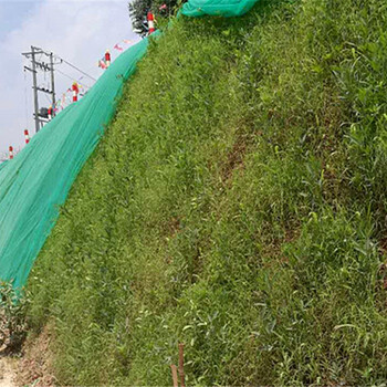 供应防城港市高速公路护坡常用芽率高植物种子