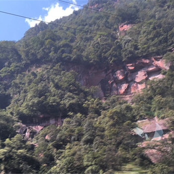 荒山大面積山體復(fù)綠草籽草種