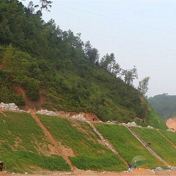昆明銷量高護(hù)坡草籽供應(yīng)商大量供應(yīng)質(zhì)量好