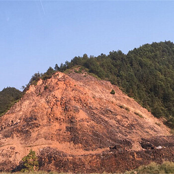 廣西省石頭邊坡綠化噴草種多少錢(qián)一平