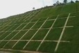 红河州高速边坡绿化资材无纺布保水剂镀锌网