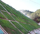 边坡支护喷草施工昆明市植草部提供技术图片