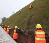 绍兴市公路石质边坡的植草护坡常用种子销售