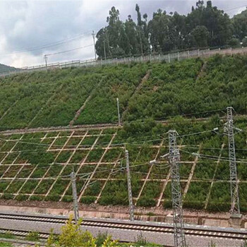 昭通市承做全省护坡工程项目