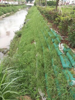 河道边坡复绿常年种植哪些绿化草籽？用什么资材稳固滑坡？