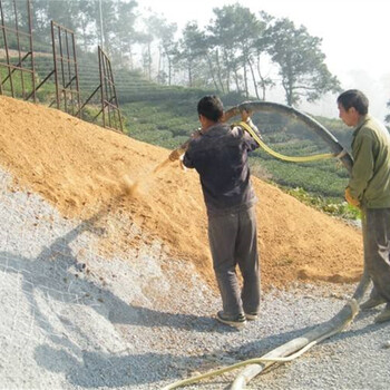 龙岩市边坡复绿喷播植草挂三维网客土植草技术