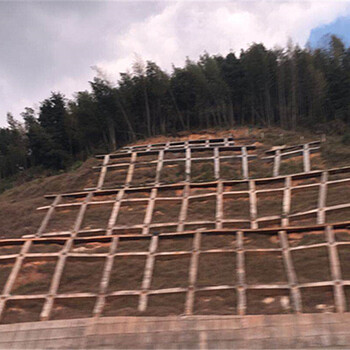 礦山廢棄土地復(fù)綠草灌組合貴陽(yáng)供應(yīng)商