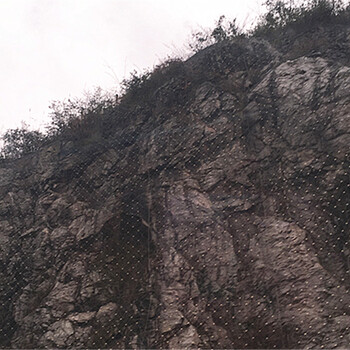長汀縣采石場邊坡穩(wěn)固綠化植草綠化草種