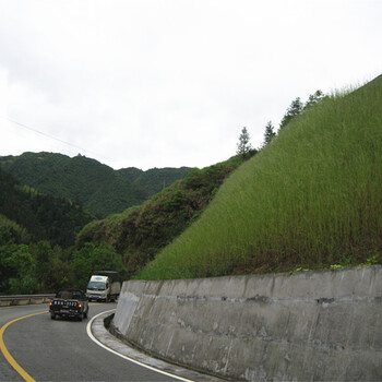 公路护坡绿化草种子桂林种子公司薄利多销