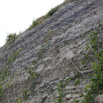 安顺市专卖石场矿山边坡复绿固土灌木种子