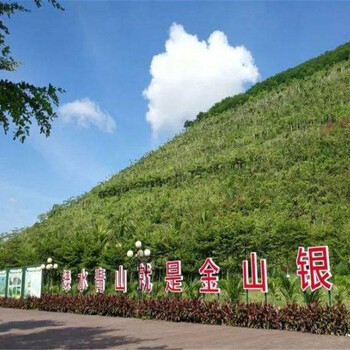 紅砂巖邊坡復(fù)綠種什么類型的草籽種子紹興市供應(yīng)