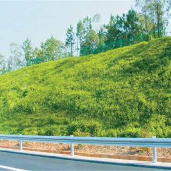 嘉興實(shí)拍高速公路綠化修復(fù)草種成品圖片易生長好打理！