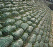 求购杭州地区边坡防护生态袋量大从优