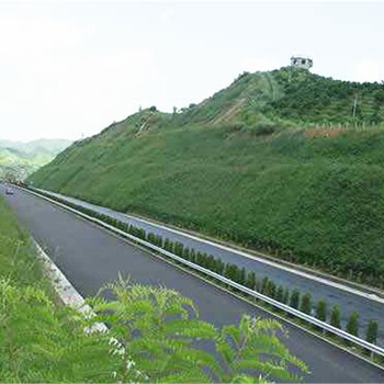 紹興市國(guó)道邊坡生態(tài)噴播植草工程草種