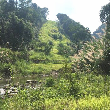 巖石山體噴射混凝土噴播植草紹興市草子