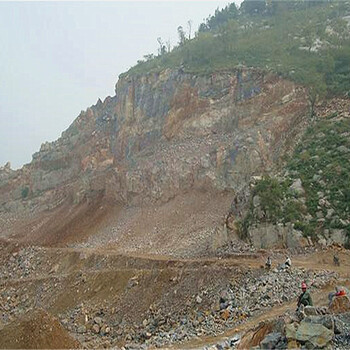 廠家批發(fā)零售杭州市礦山修復(fù)可用草種種子