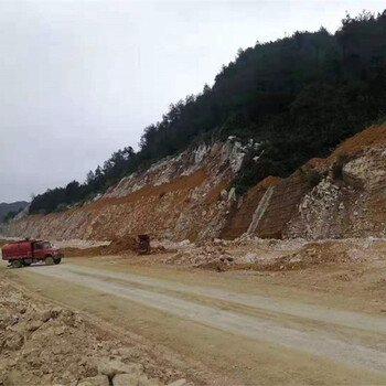 浙江绍兴市国道边坡护坡常用绿化草灌种子