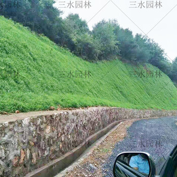 紹興高速路邊坡用狗牙根草籽和什么草籽混播比較好