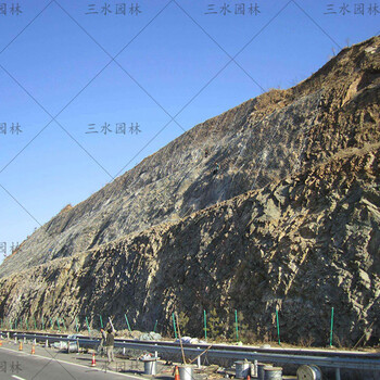 高速邊坡復綠杭州賣綠化植草格價格