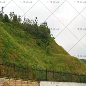 浙江湖州市高速公路綠化生態(tài)草籽哪有賣？