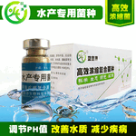 浙江舟山能使用EM菌种菌液养鱼吗？益富源菌种效果怎么样?在哪里买？