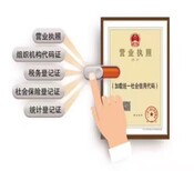 深圳地区免费注册公司+记账报税等工商业务图片5