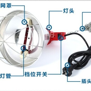 宠物仔猪雏鸡用红外线保温灯取暖灯灯罩批发