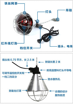 猪仔保温灯生产厂家