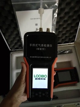 LB-CP6多种气体检测仪都能测哪些气体