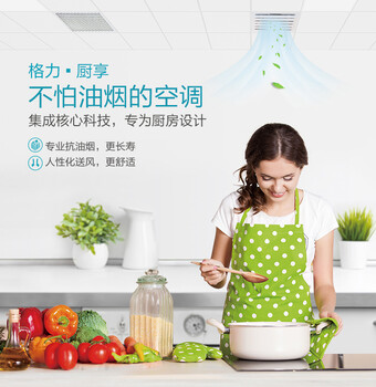 供應(yīng)柳州格力廚房中央空調(diào)抗油煙