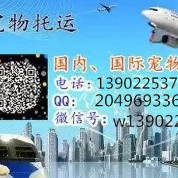 航空快件宠物空运广州宠物空运白云机场随机办理