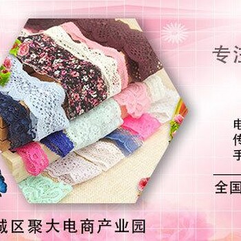 廣東蕾絲面料批發(fā)/定做百華廠家