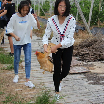 东莞莞城好的野炊烧烤亲子活动农场野炊