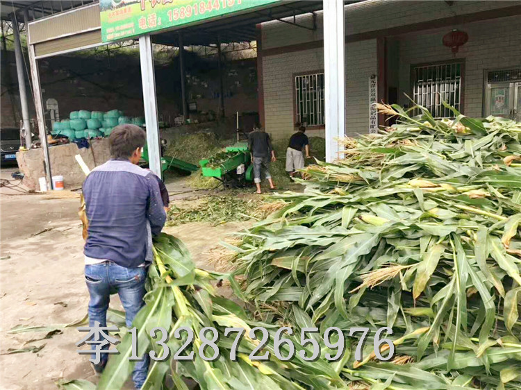 广东肇庆青贮玉米秸秆打捆机青贮玉米秸秆打捆机用途