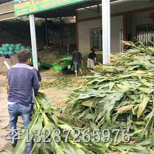 内蒙古包膜打捆机厂家地址