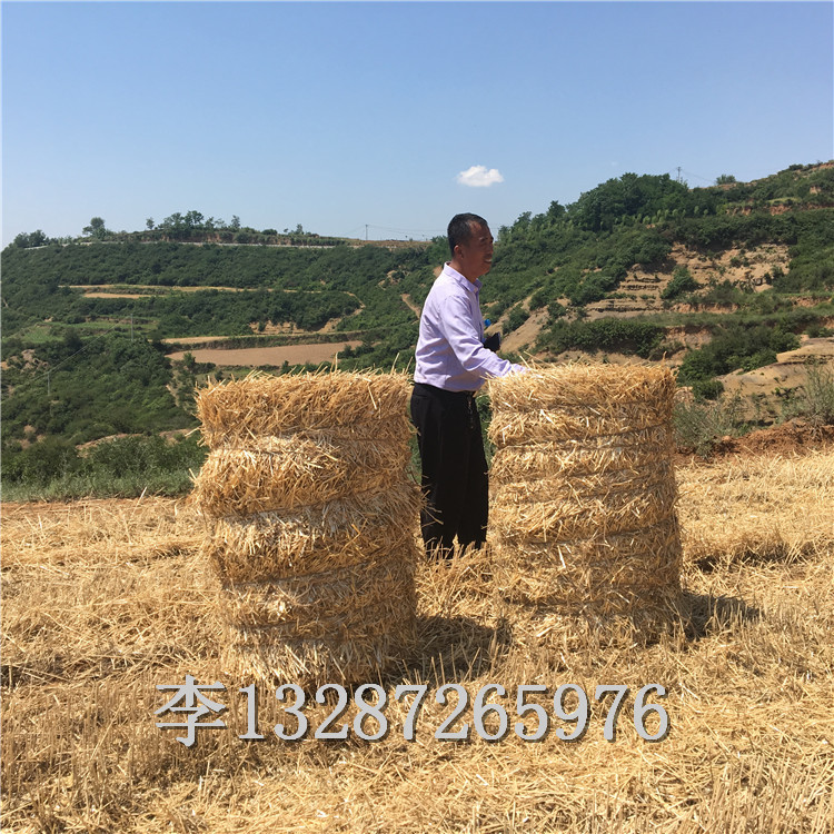 湖南郴州小型玉米桔杆打捆机型号