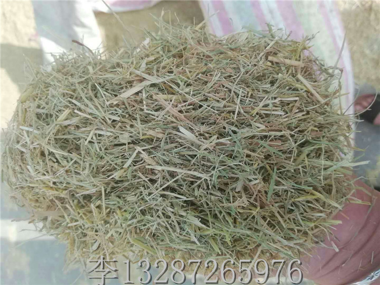 新疆玉米小麦粉碎机筛子