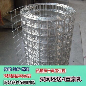 鍍鋅電焊網(wǎng)養(yǎng)雞養(yǎng)鴨籠舍網(wǎng)圍園網(wǎng)