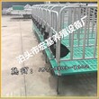 江津区猪用定位栏厂家、热镀锌母猪定位栏制造商批发图片