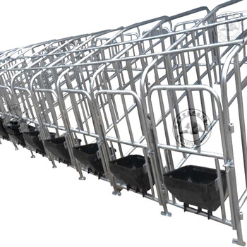 阜阳母猪定位栏多少钱单体限位栏规格母猪产床定位栏厂家猪栏定做