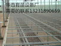 华首厂家长期供应温室苗床网图片1