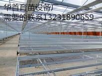 厂家长期供应蔬菜苗床网温室苗床网价格合理，质量图片0