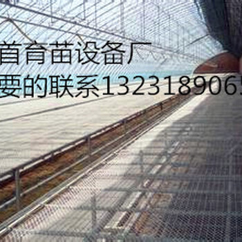 雅安苗床網(wǎng)價(jià)格走勢(shì)